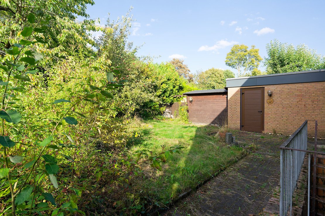 Garten hinter dem Haus